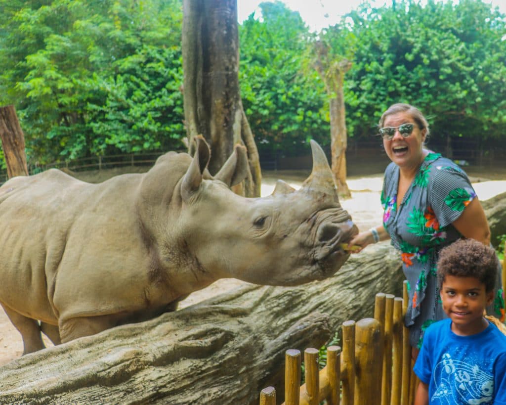 Travel-kids-feeding a rhino