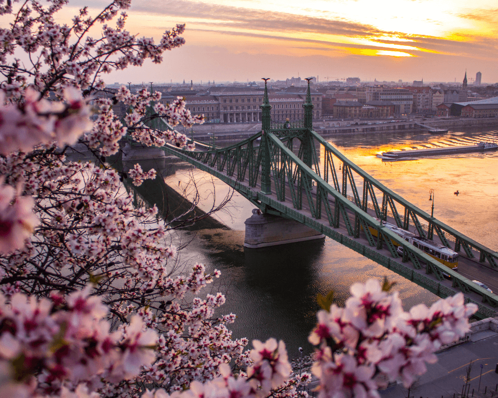 An image of Budapest Skyline