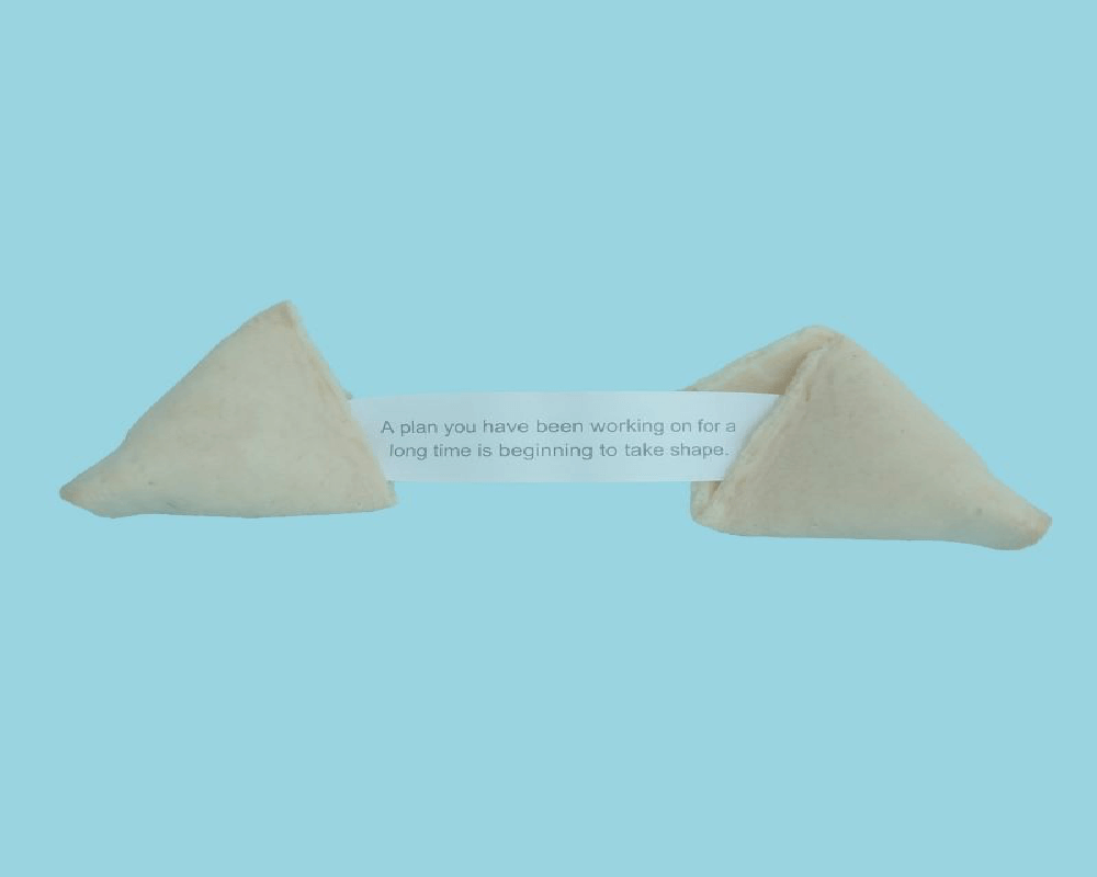 A fortune cookie that reads; A plan that you have been working on for a long time is beginning to take shape