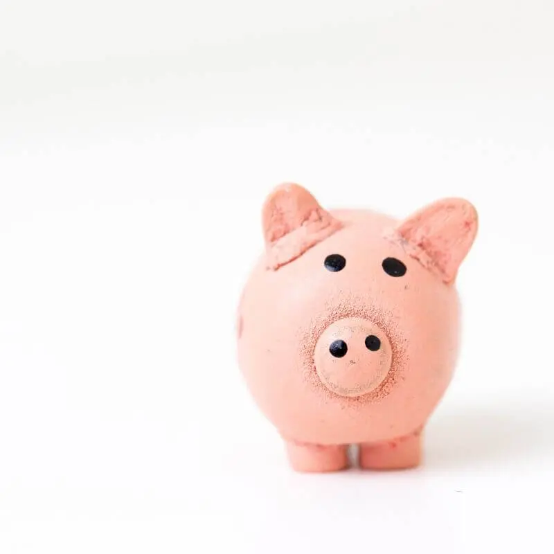 An image of a pink piggy-bank